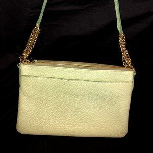 Fossil pastel lime green purse